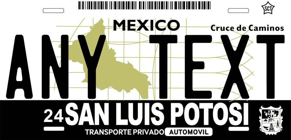 Custom San Luis Potosi '01 cases/license plates