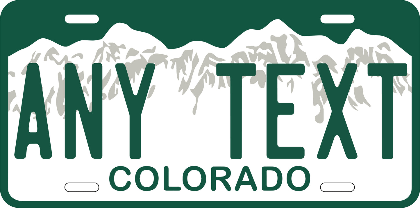 Custom Colorado '00 cases/license plates