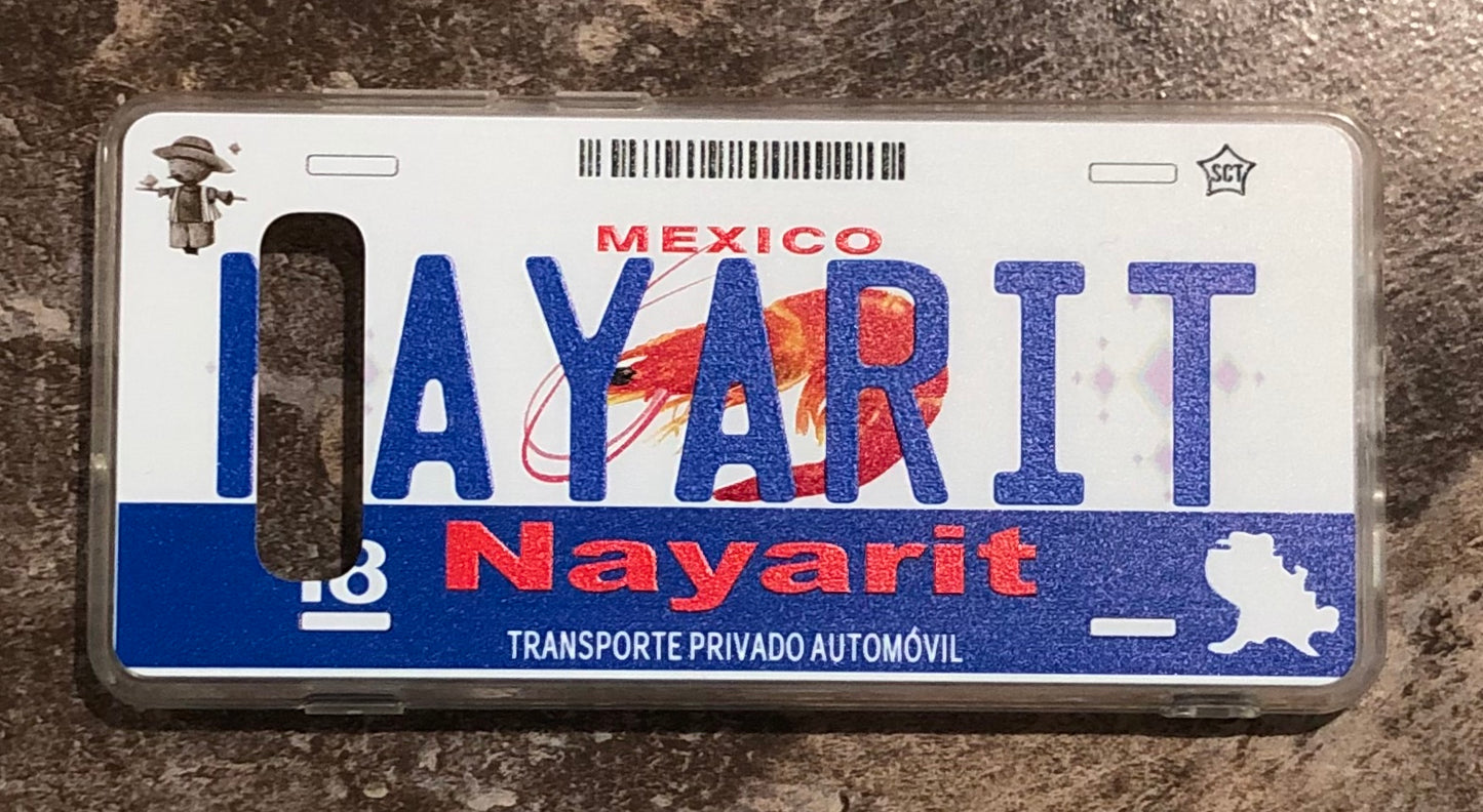 Nayarit 3D ‘04 cases