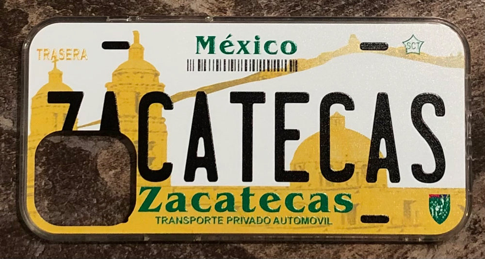 Zacatecas 3D ‘04 cases
