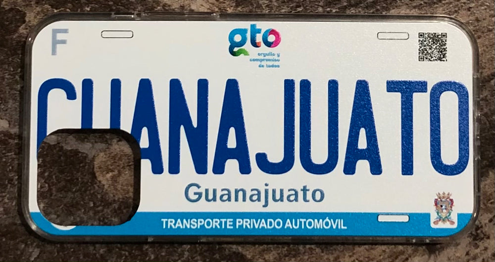 Guanajuato 3D ‘17 cases