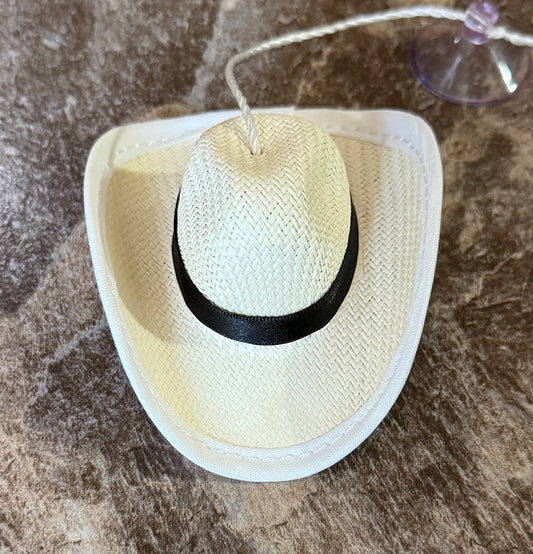 Custom sombreros para carro
