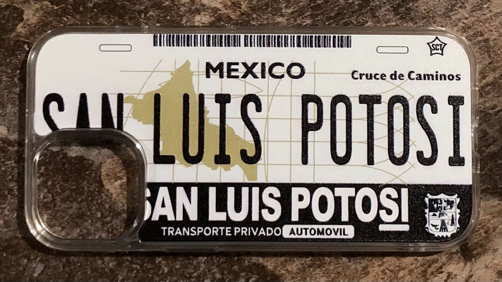 San Luis Potosi 3D ‘01 cases