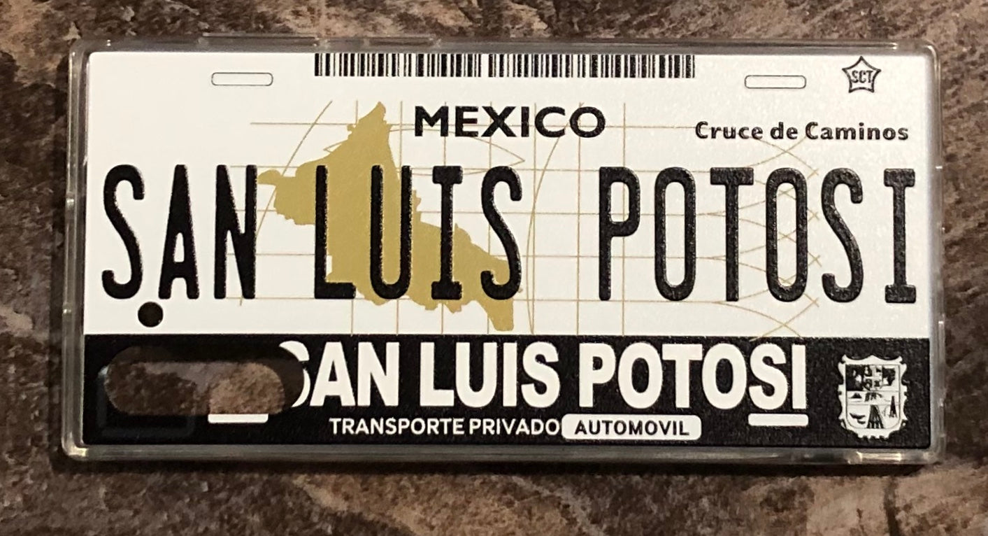 San Luis Potosi 3D ‘01 cases