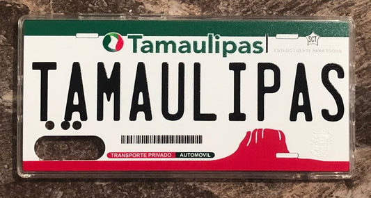 Tamaulipas 3D ‘13 cases