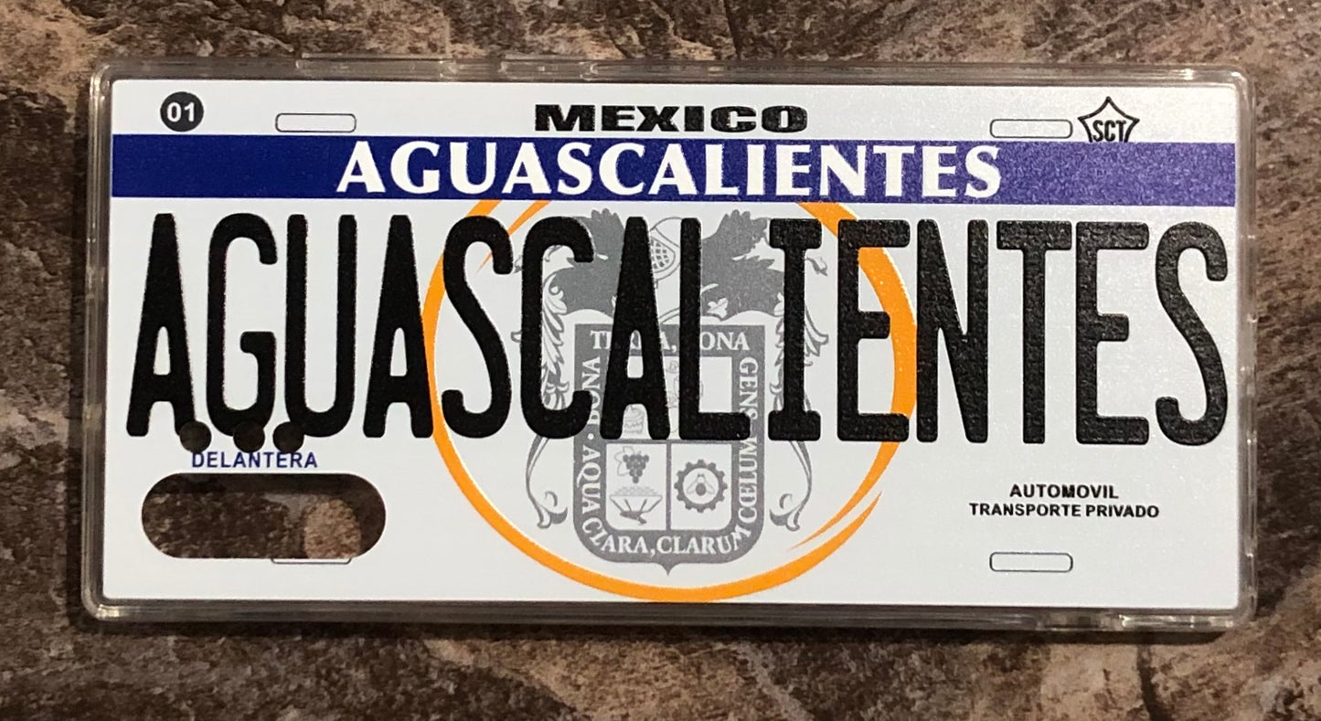 Aguascalientes 3D ‘05 cases