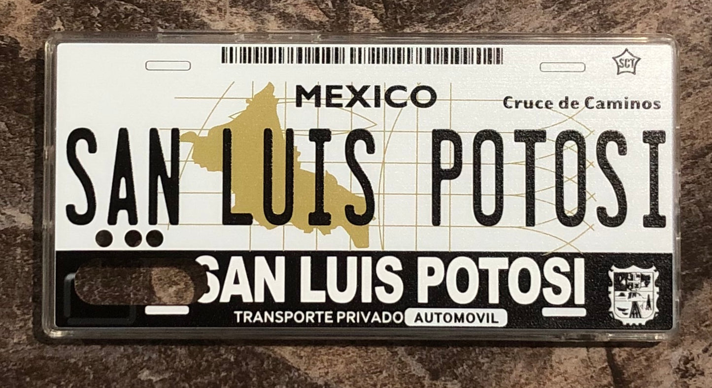 San Luis Potosi 3D ‘01 cases