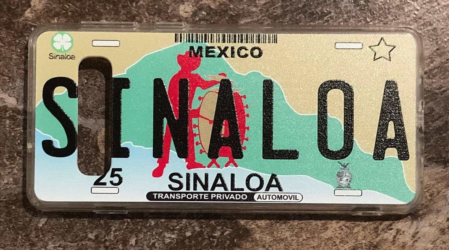 Sinaloa 3D ‘02 cases