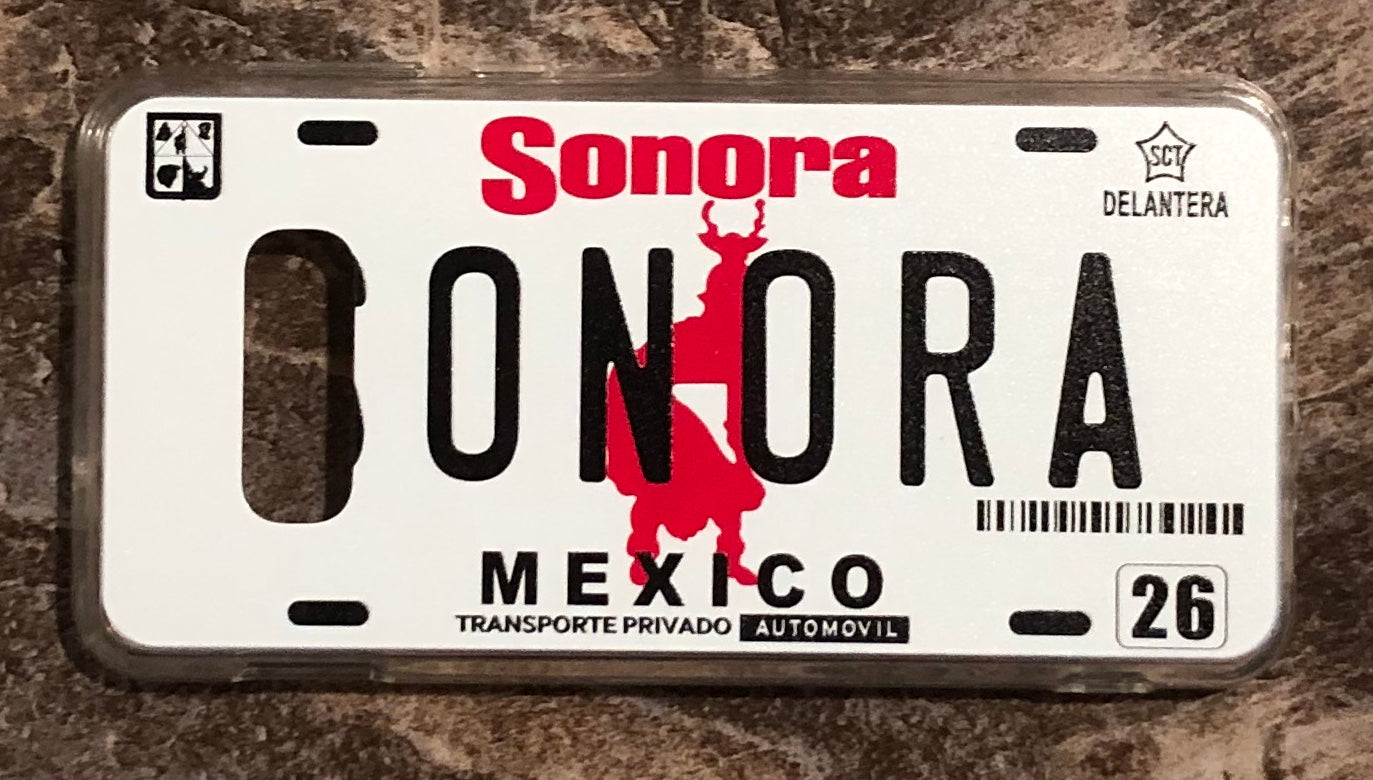 Sonora 3D ‘05 cases