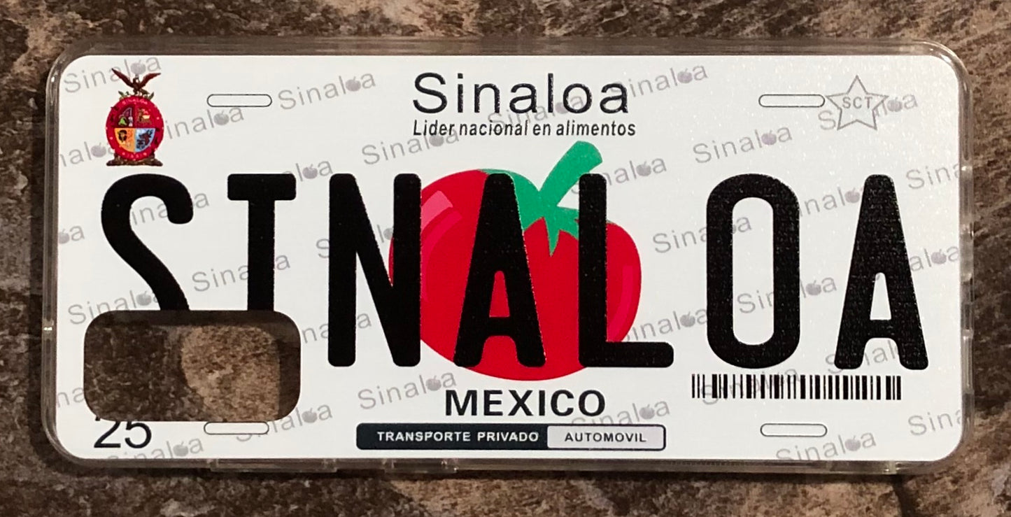 Sinaloa 3D ‘06 cases