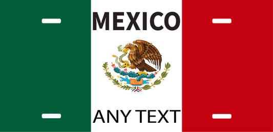 Custom Mexico cases/license plates