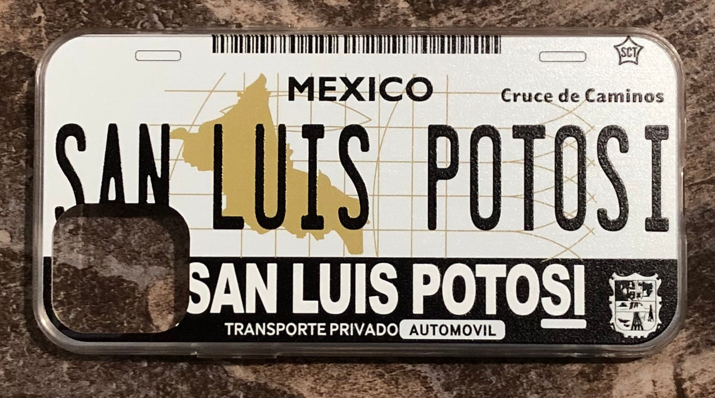 San Luis Potosi 3D ‘01 cases