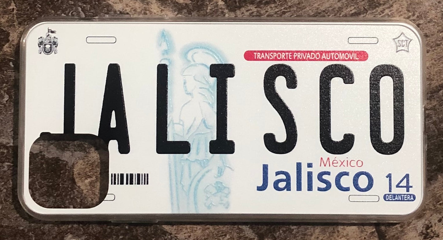 Jalisco 3D ‘11 cases