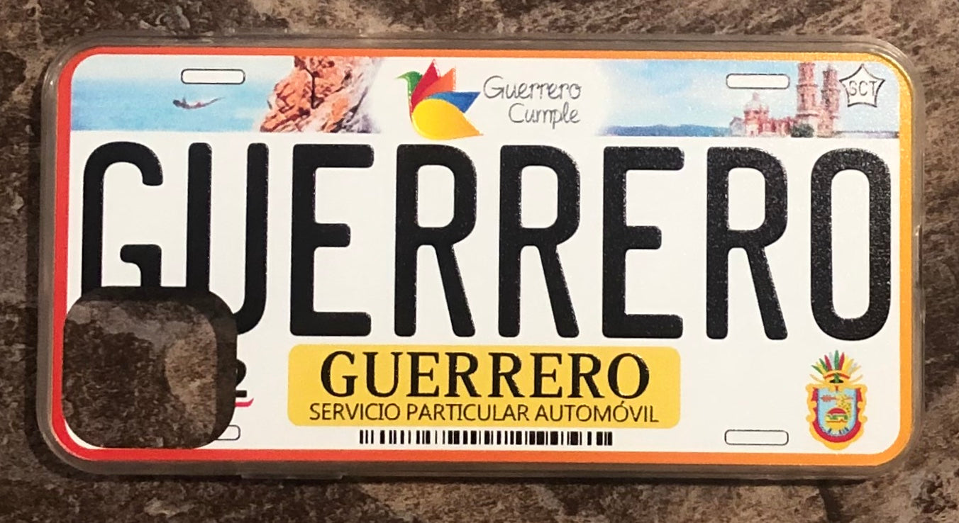 Guerrero 3D ‘15 cases