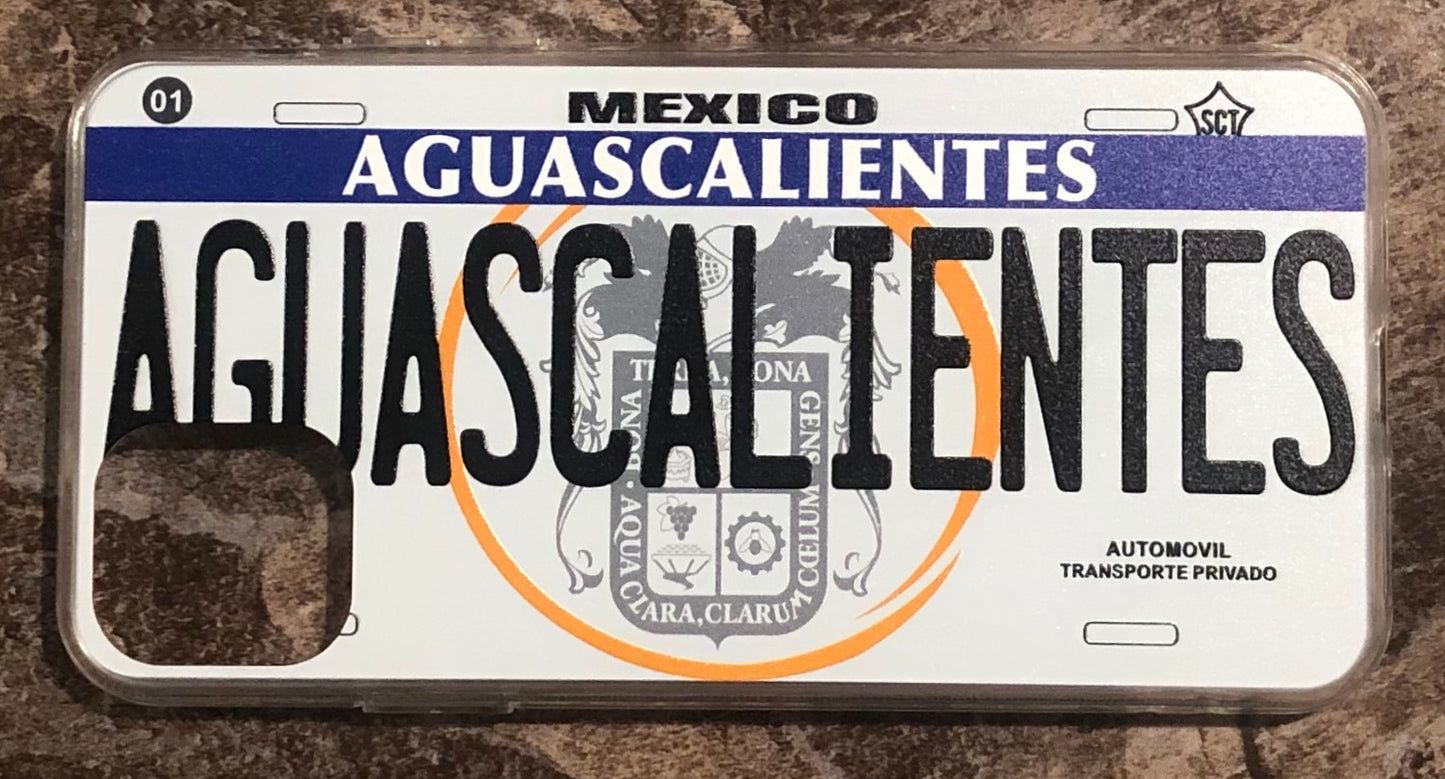 Aguascalientes 3D ‘05 cases
