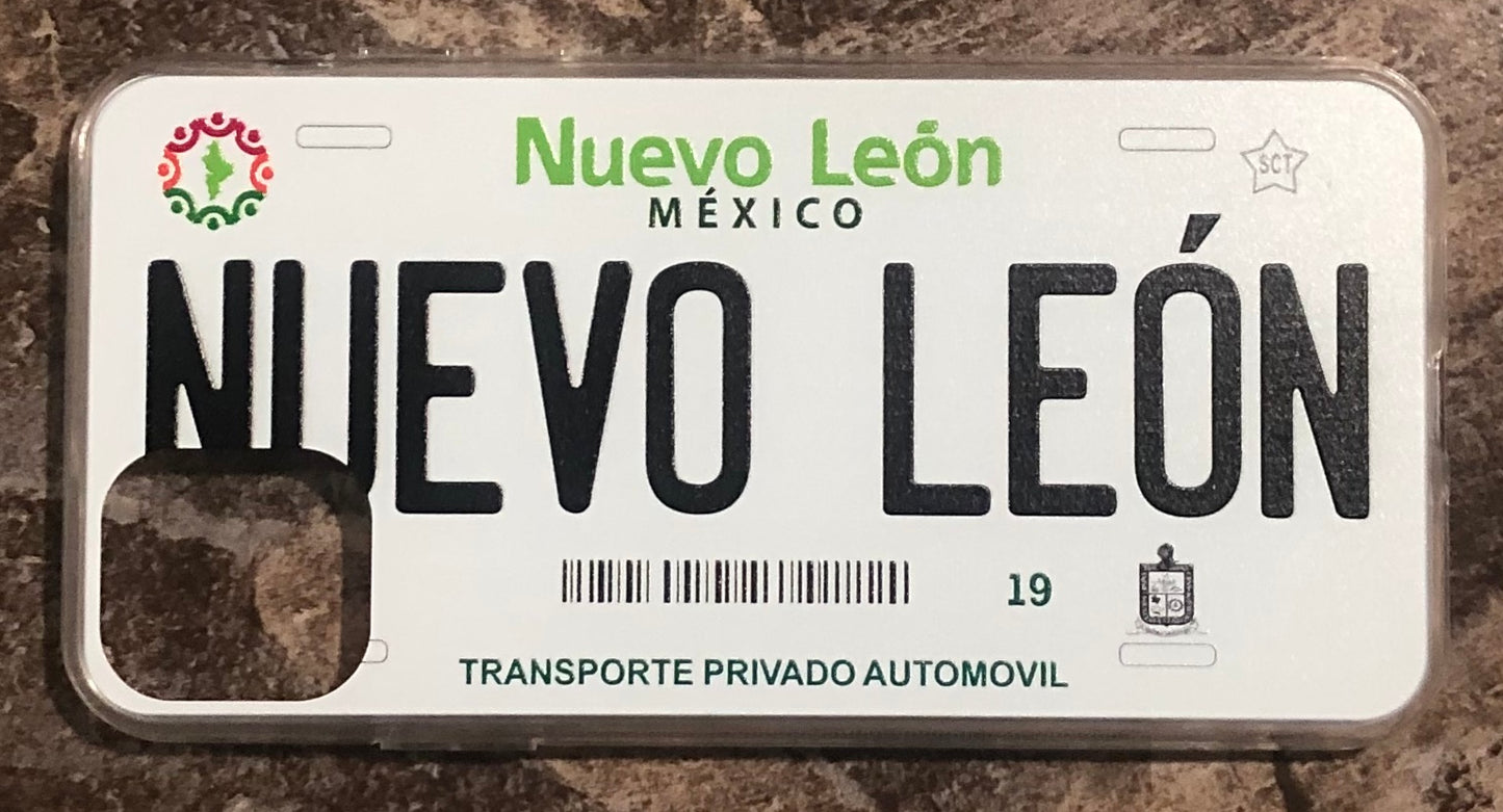 Nuevo Leon 3D ‘11 cases
