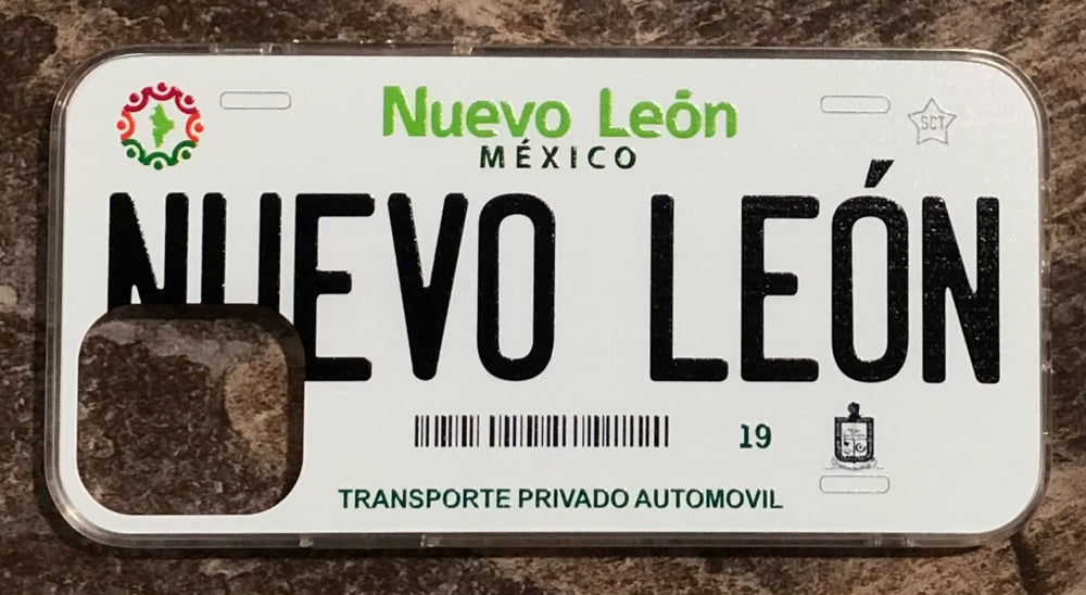 Nuevo Leon 3D ‘11 cases