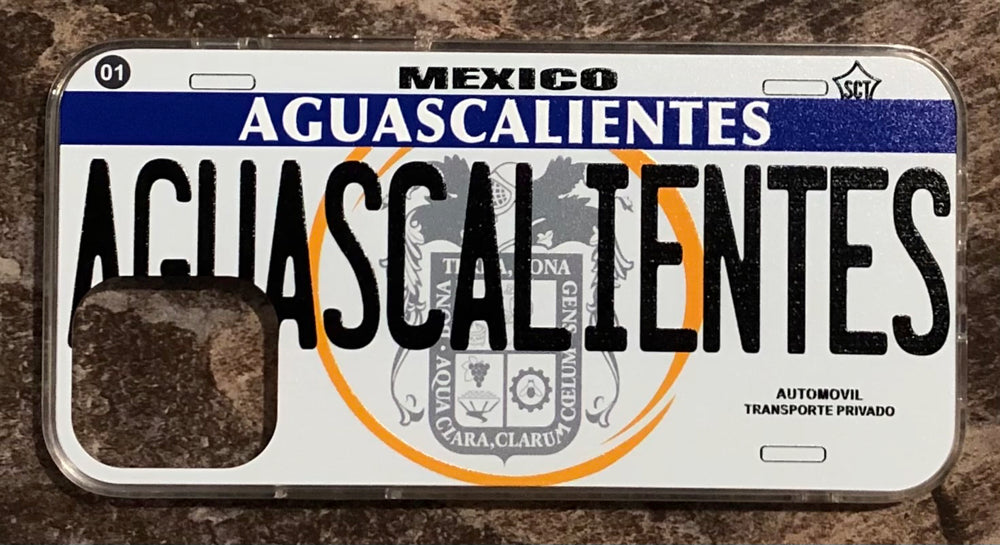 Aguascalientes 3D ‘05 cases