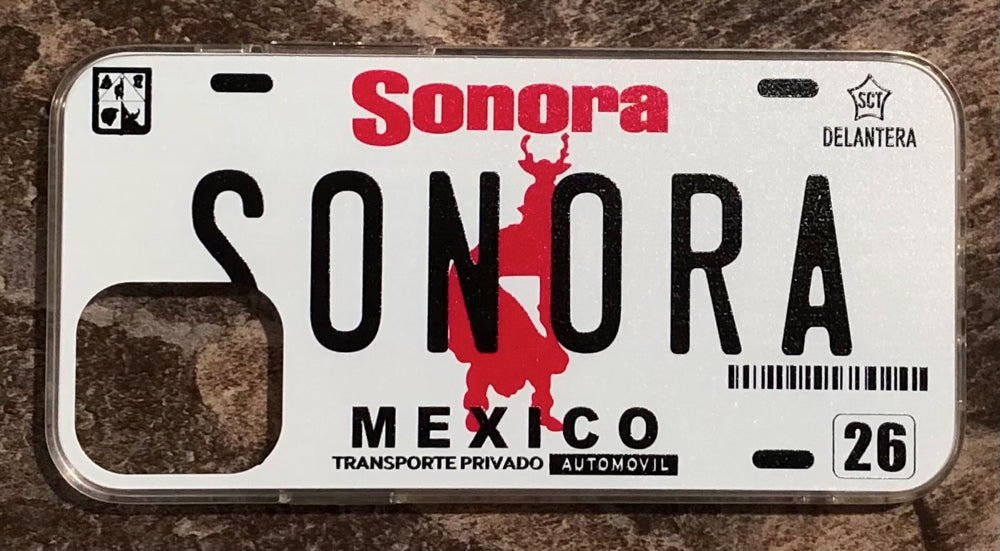 Sonora 3D ‘05 cases