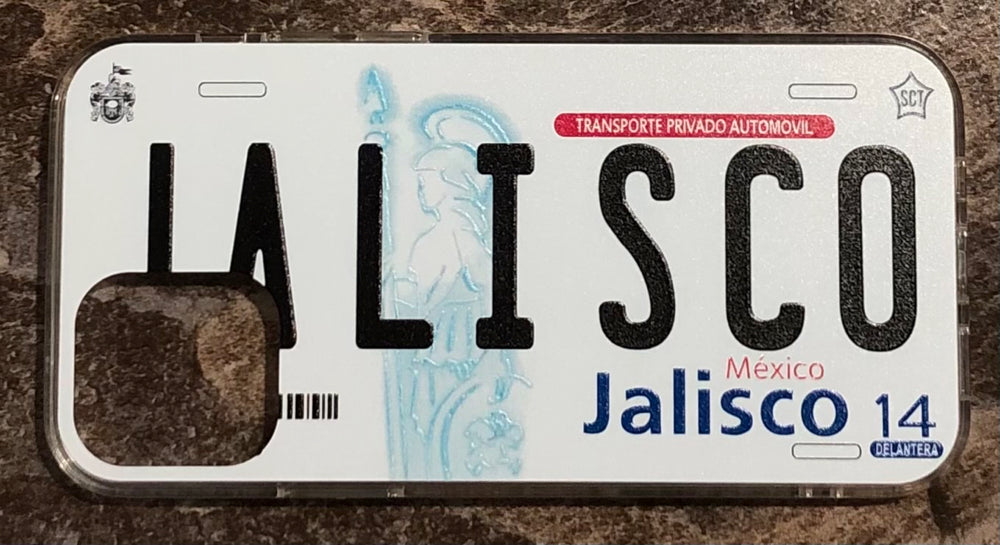 Jalisco 3D ‘11 cases