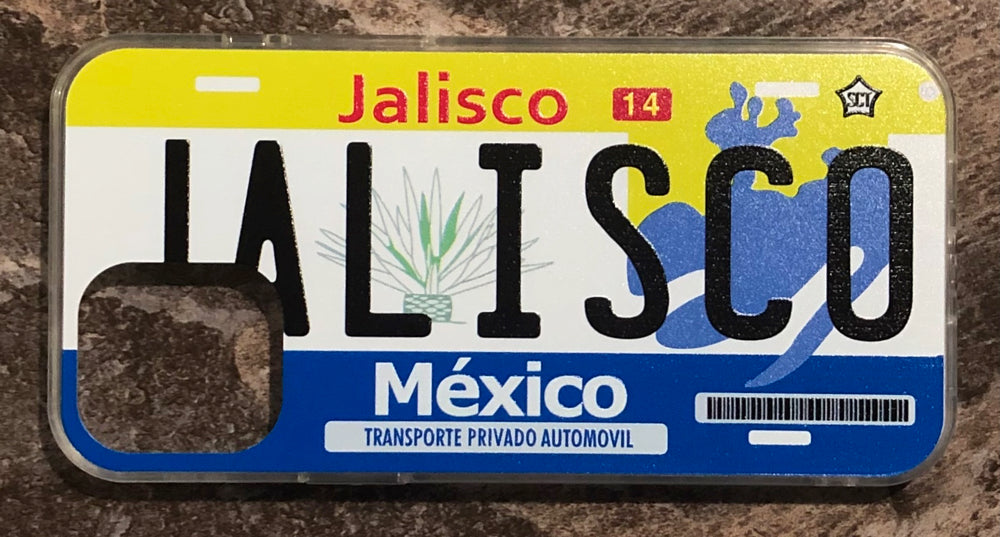 Jalisco 3D ‘02 cases