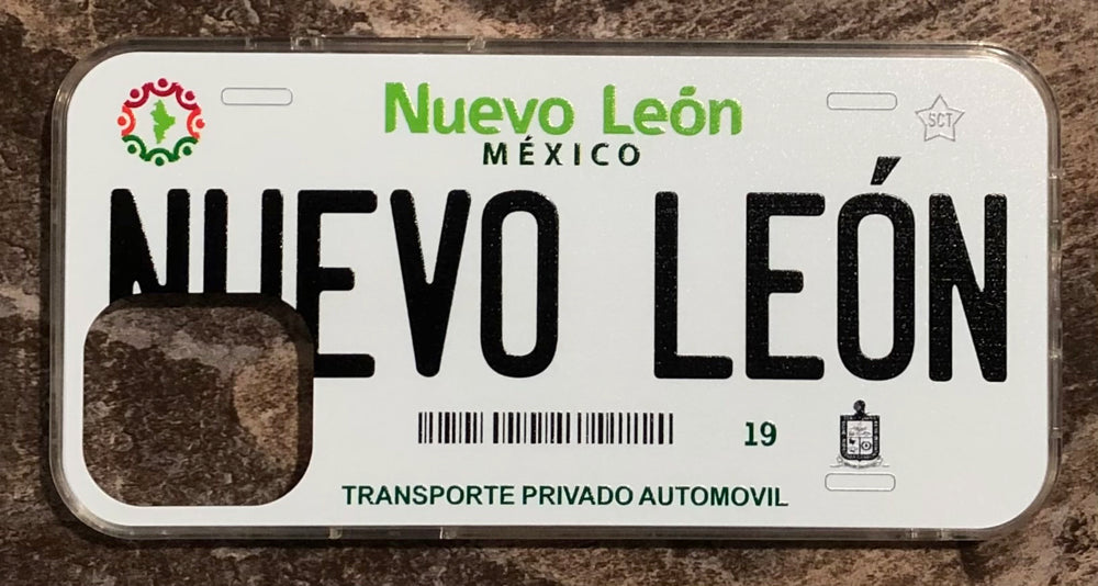 Nuevo Leon 3D ‘11 cases