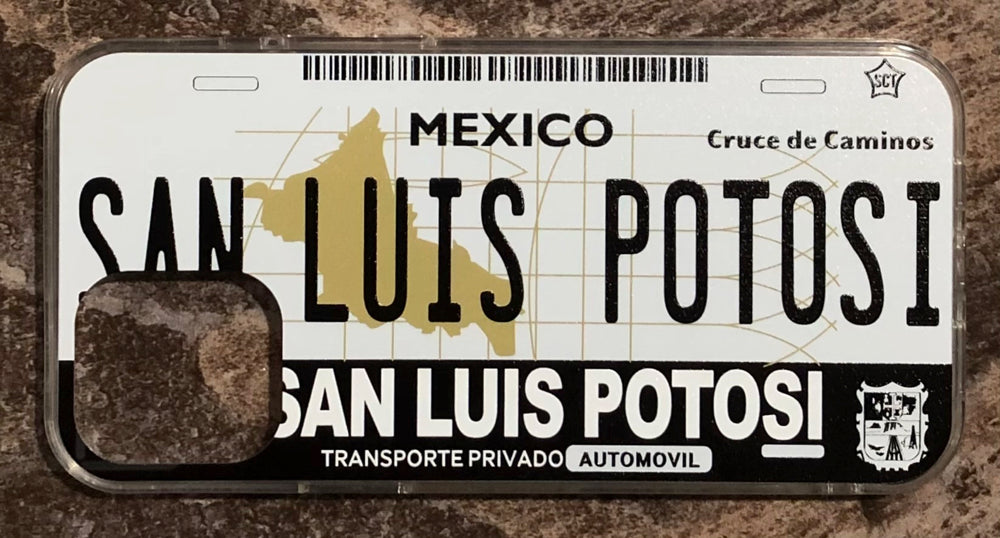 San Luis Potosi 3D ‘01 cases