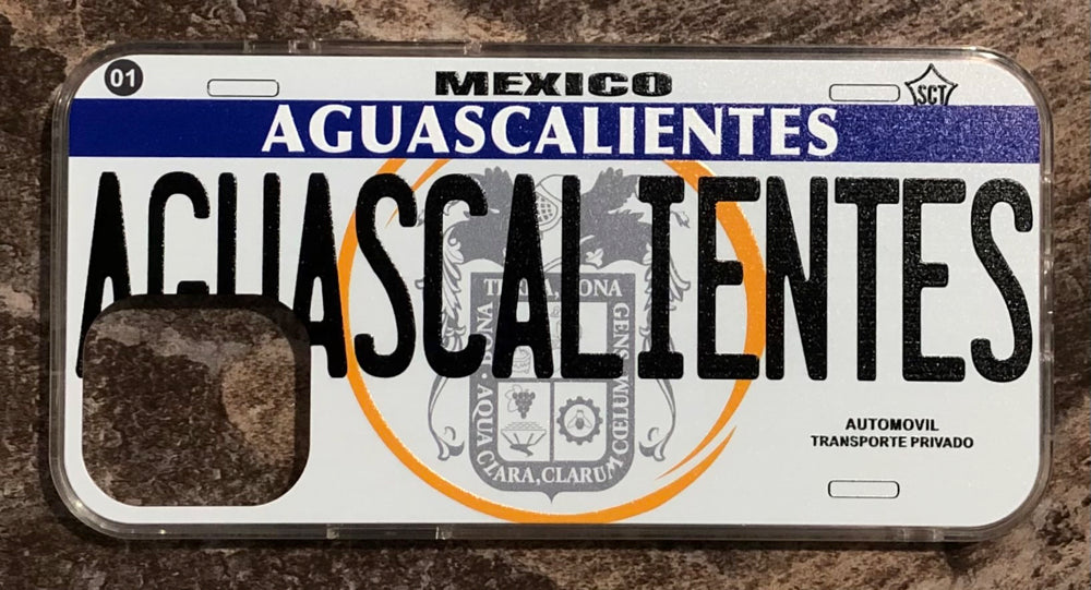 Aguascalientes 3D ‘05 cases