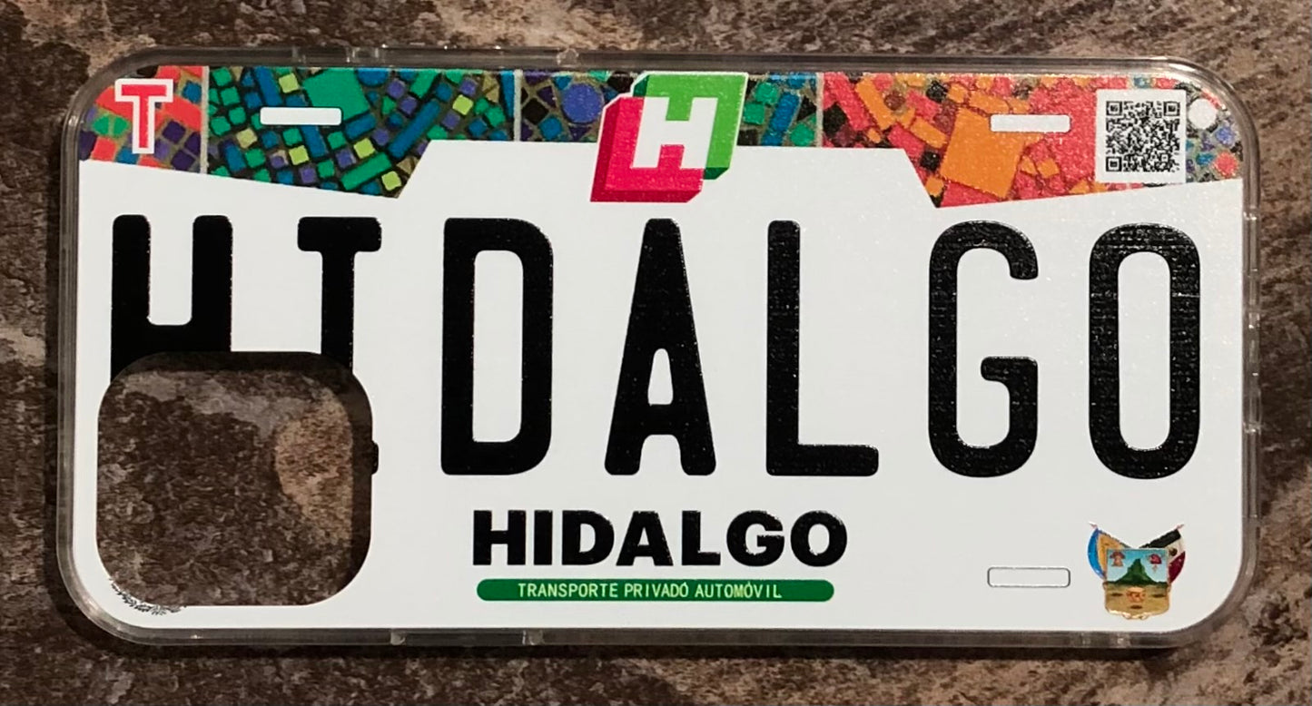 Hidalgo 3D ‘18 cases