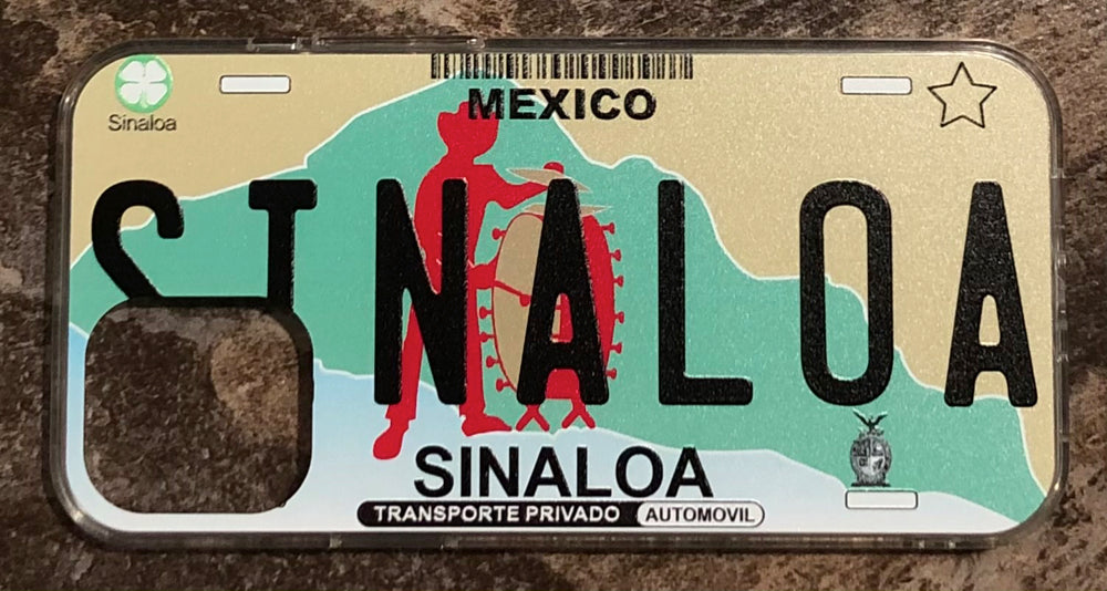 Sinaloa 3D ‘02 cases