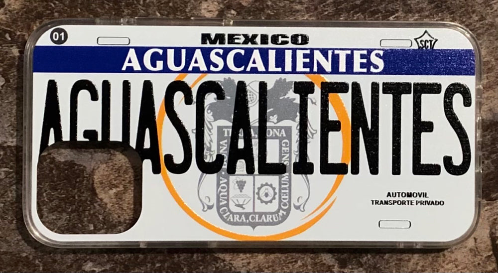 Aguascalientes 3D ‘05 cases