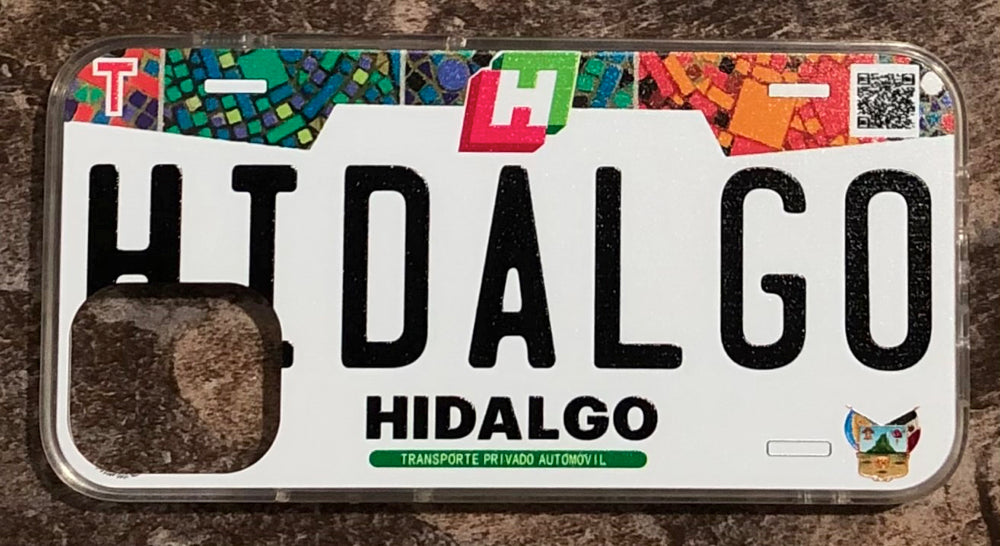 Hidalgo 3D ‘18 cases