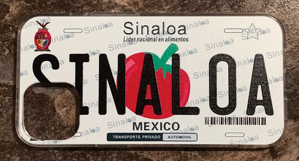 Sinaloa 3D ‘06 cases