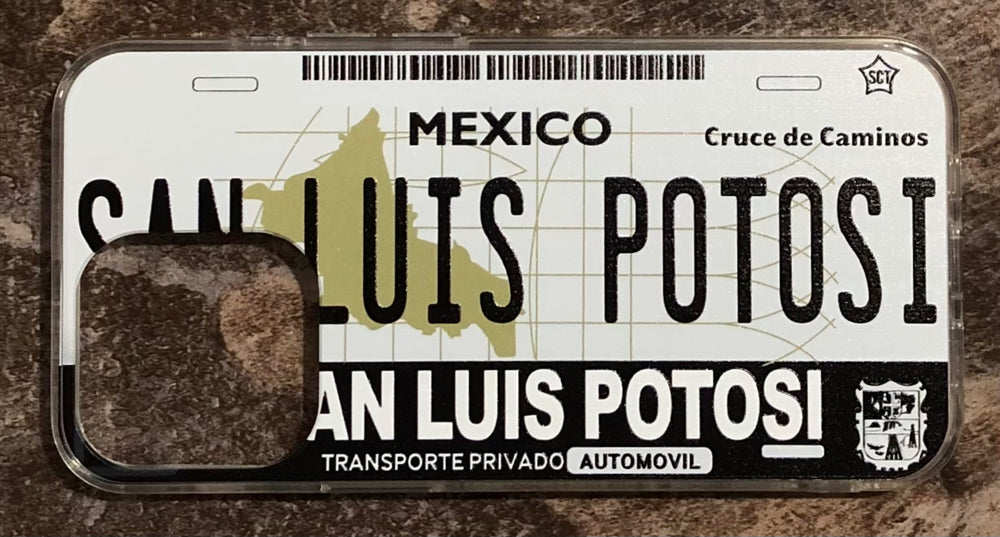 San Luis Potosi 3D ‘01 cases