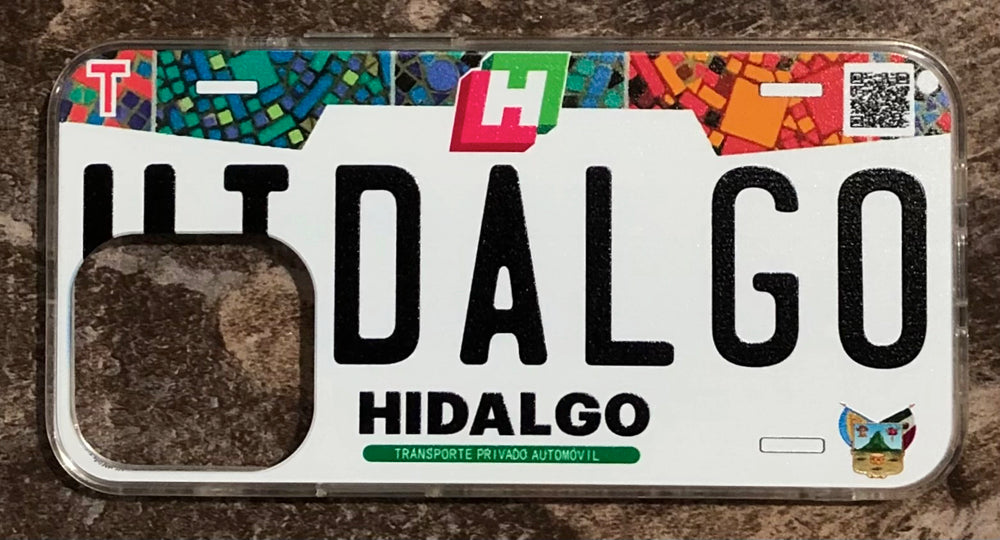 Hidalgo 3D ‘18 cases