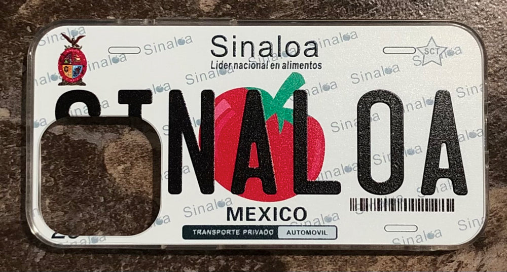 Sinaloa 3D ‘06 cases