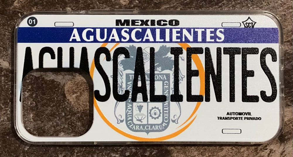 Aguascalientes 3D ‘05 cases
