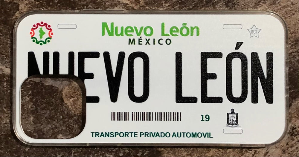 Nuevo Leon 3D ‘11 cases