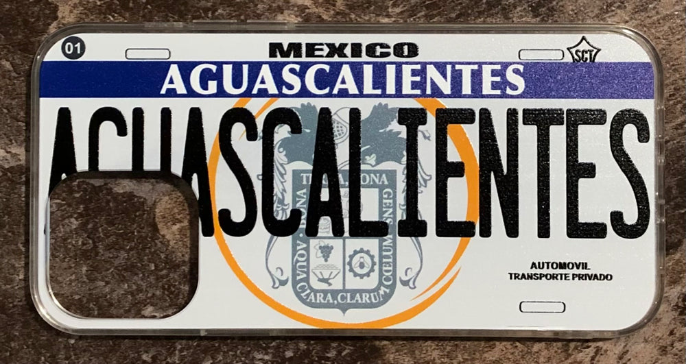Aguascalientes 3D ‘05 cases